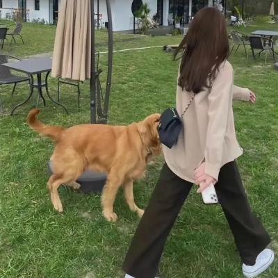 单骑歼霸