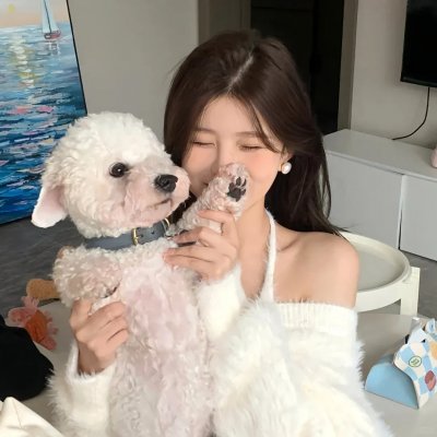加州套房